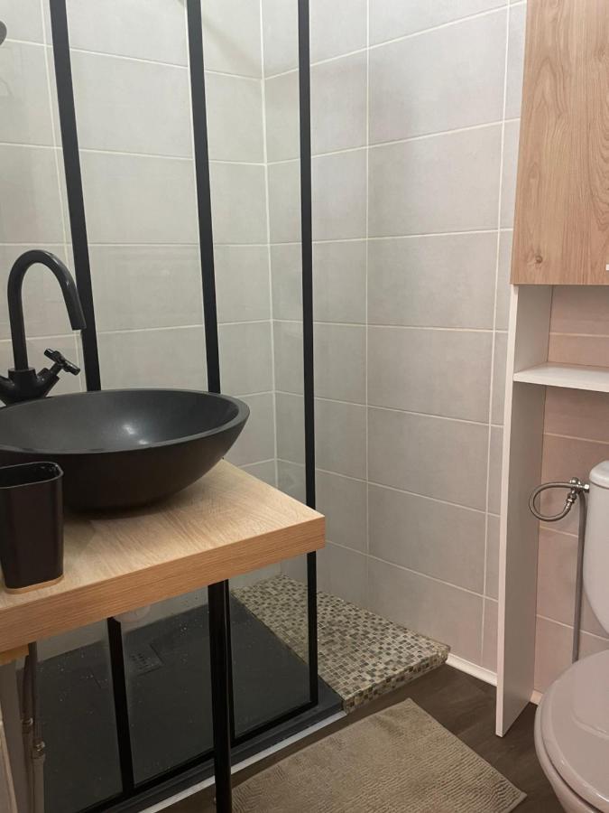 Appartement Cosy En Hyper Centre Toulouse Eksteriør bilde